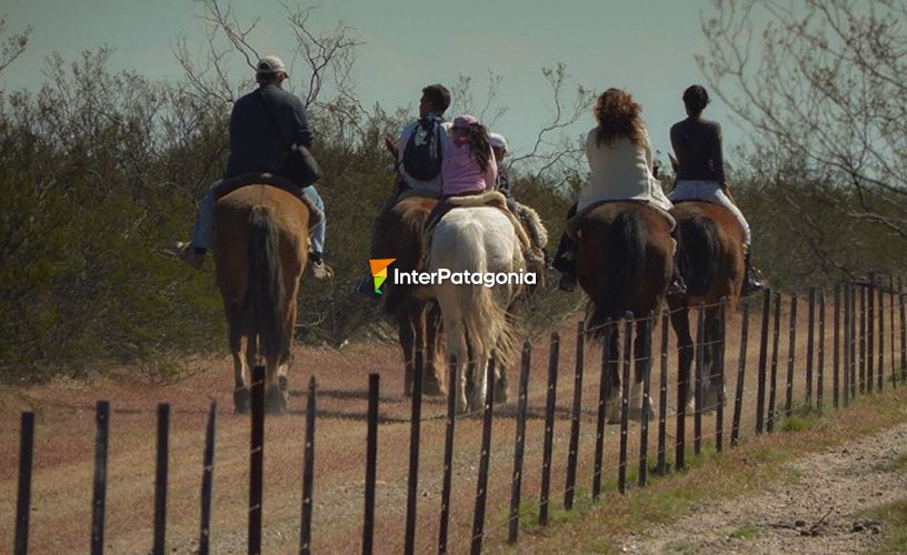 Cabalgar en familia