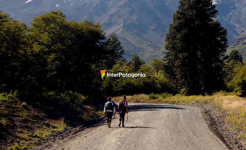 Los fanáticos de las caminatas