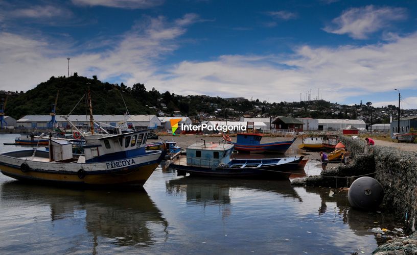 The colorful barges