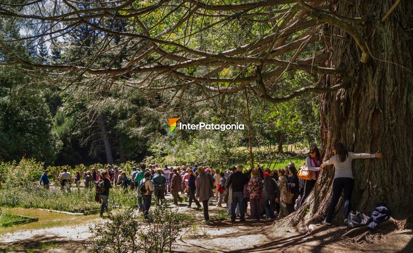 Excursiones lacustres colectivas