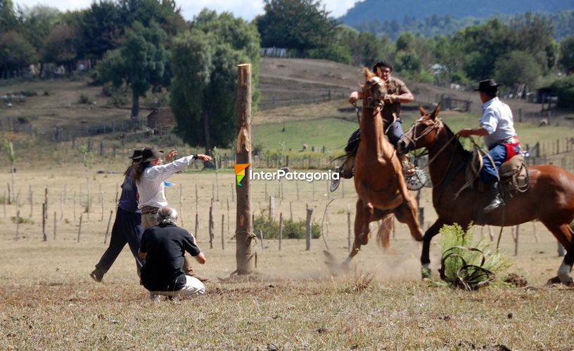 Ocho segundos debía permanecer sobre el caballo