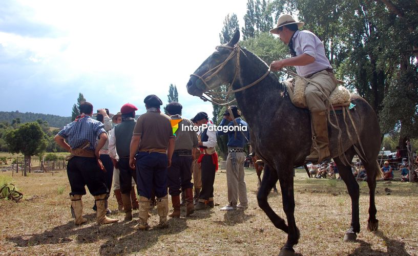 Tarde de jineteada a puro campo