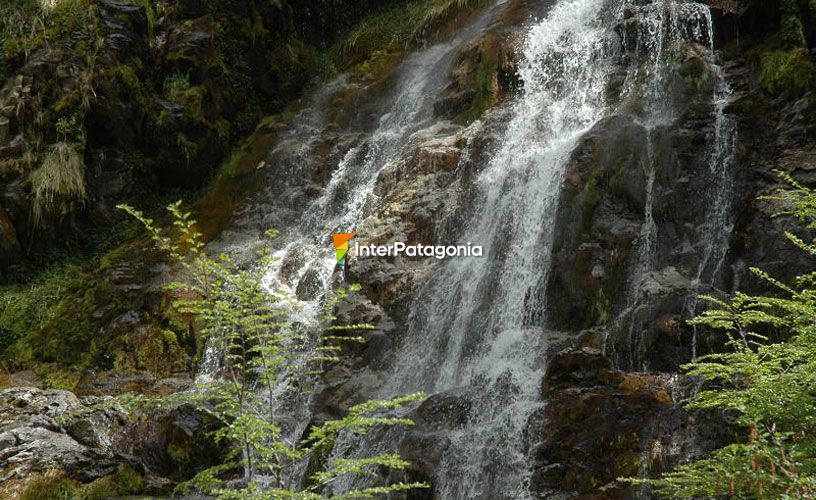 Salto del Chorrillo