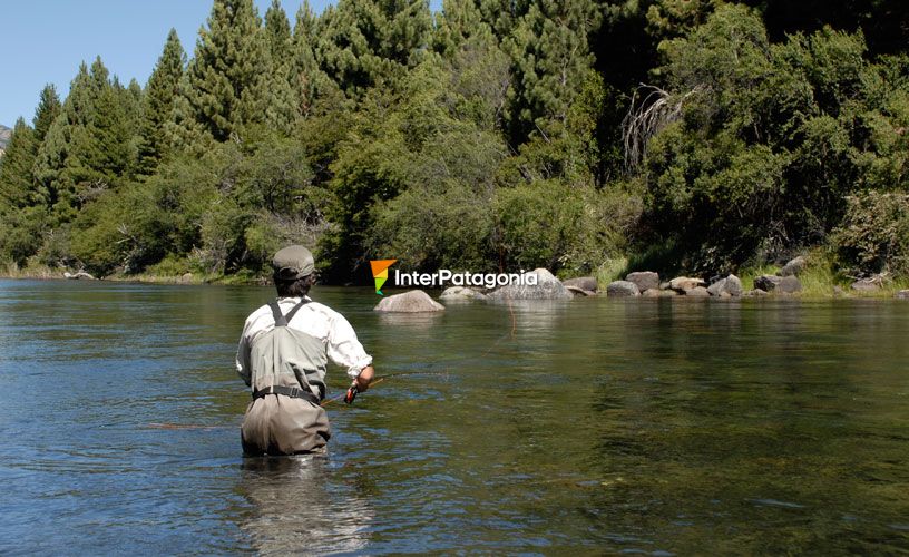 Pesca con mosca en el Río Meliquina