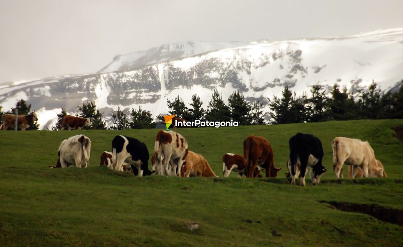 Montañas nevadas