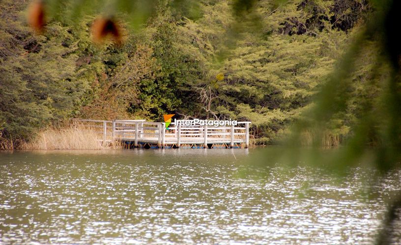 Several wooden footbridges