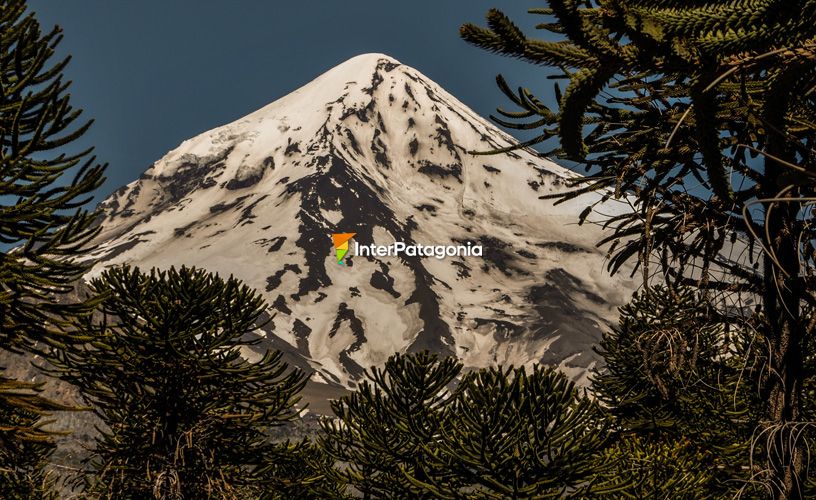 El volcán Lanín se hizo presente