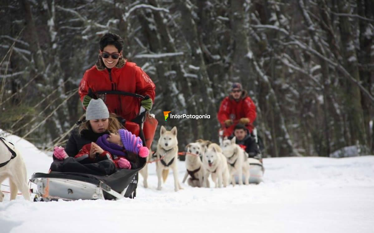 Pasesos en trineos con perros huskies