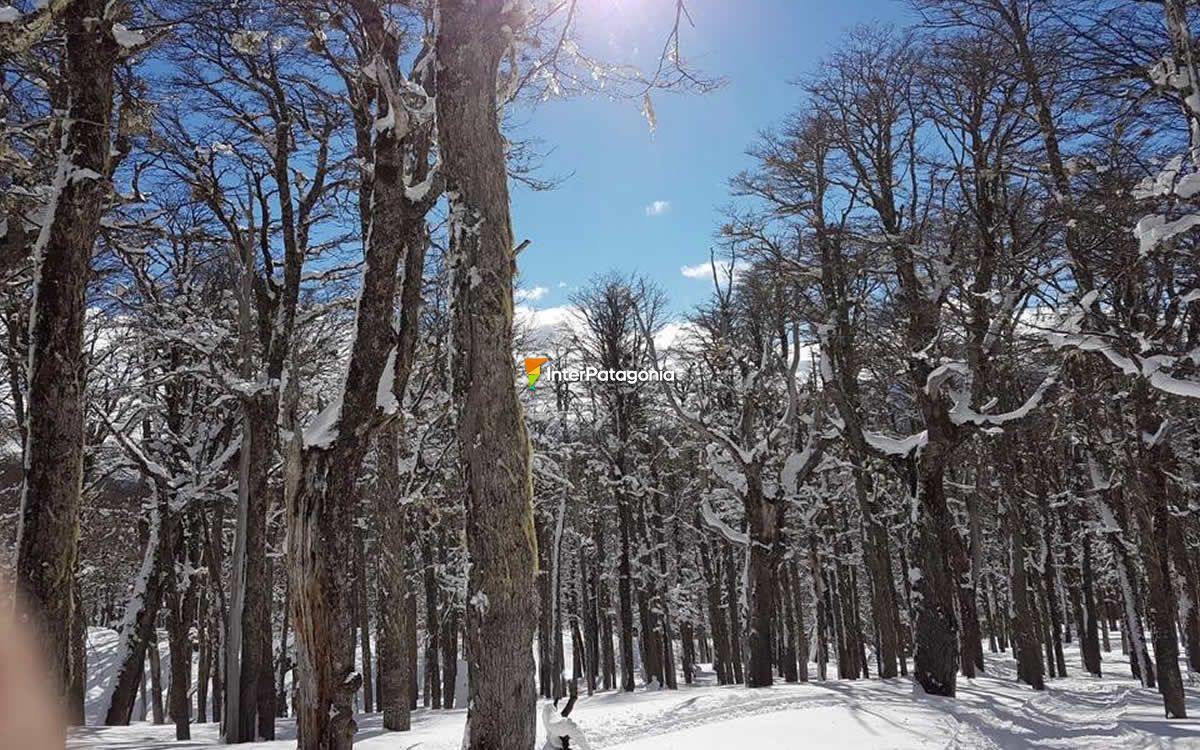 Parque de nieve Lago Hermoso