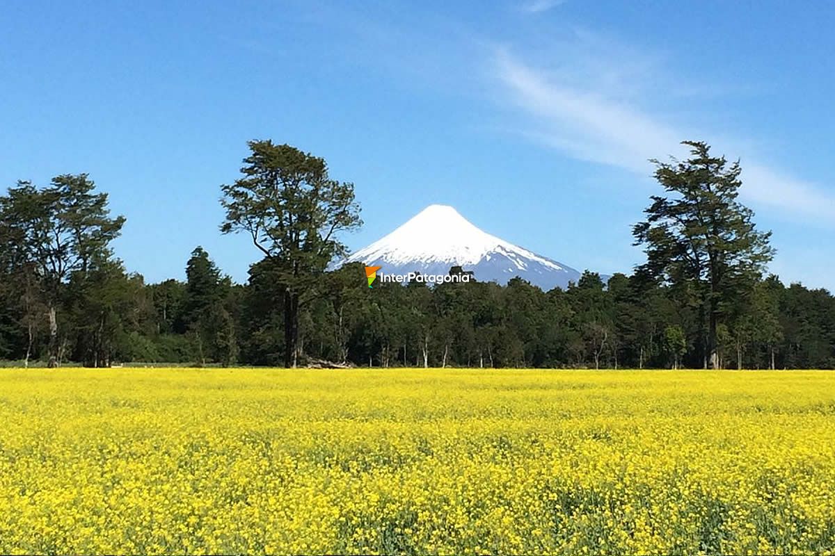 View of Osorno volcano in Chile