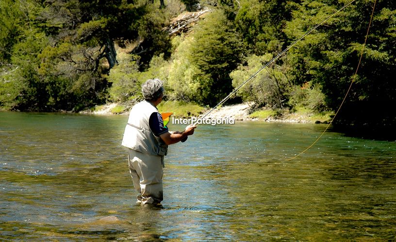 Pesca con devolución