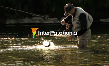 Días de pesca en el Chimehuin