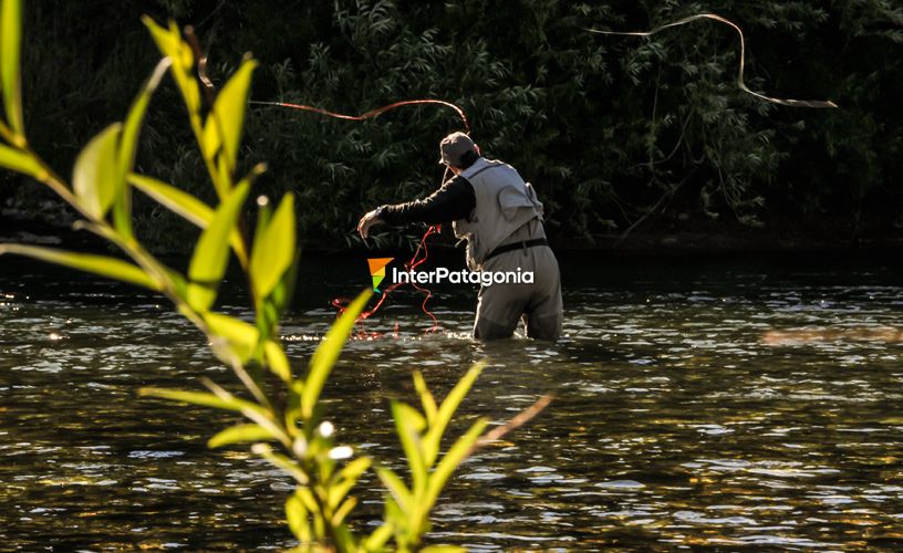 La pesca con mosca