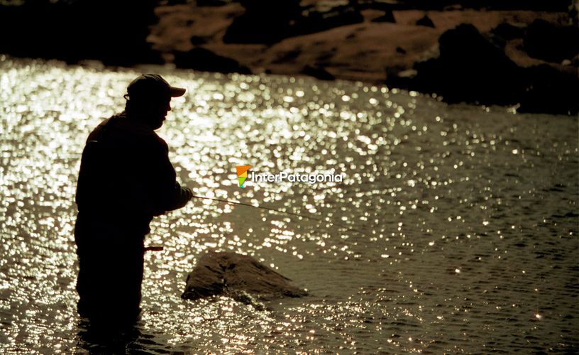 The passion for fly fishing