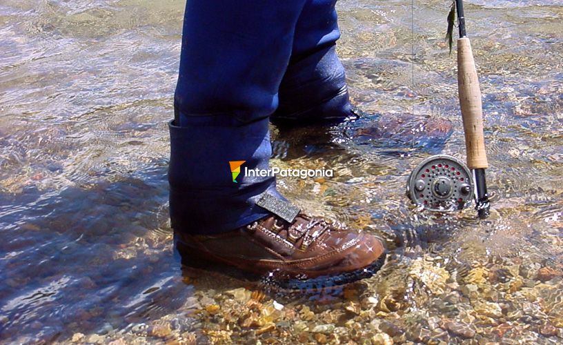 Caminar un río