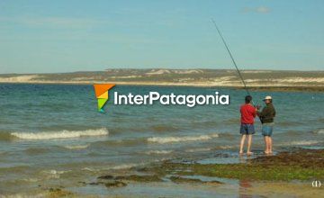 Fishing in Puerto Madryn