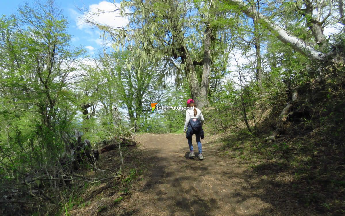 El sendero que lleva a la Piedra de Habsburgo