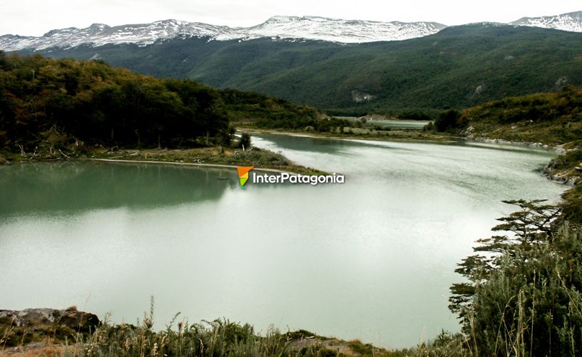 Ambientes naturales descubiertos por Magallanes