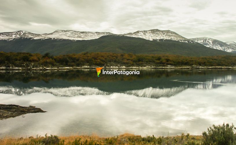 Patagonian Forests ecoregion