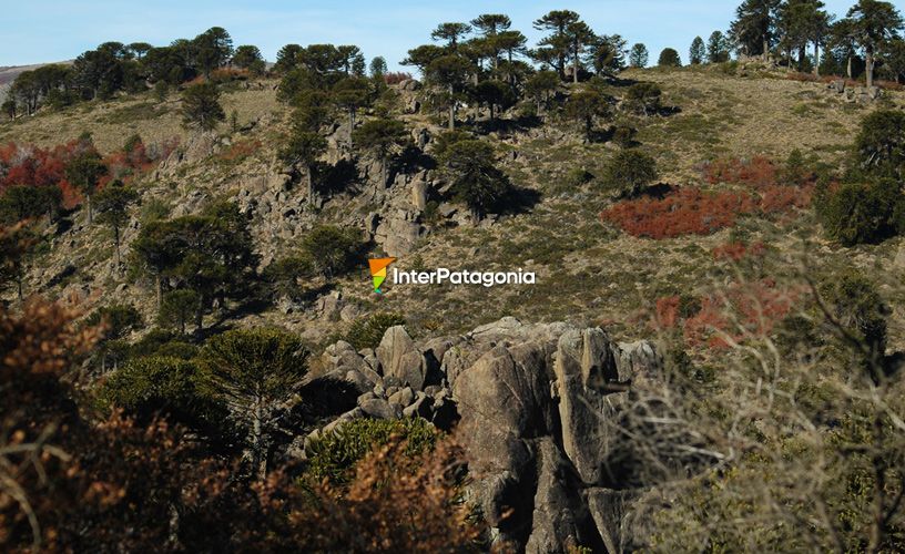 The wide Argentinian Patagonia