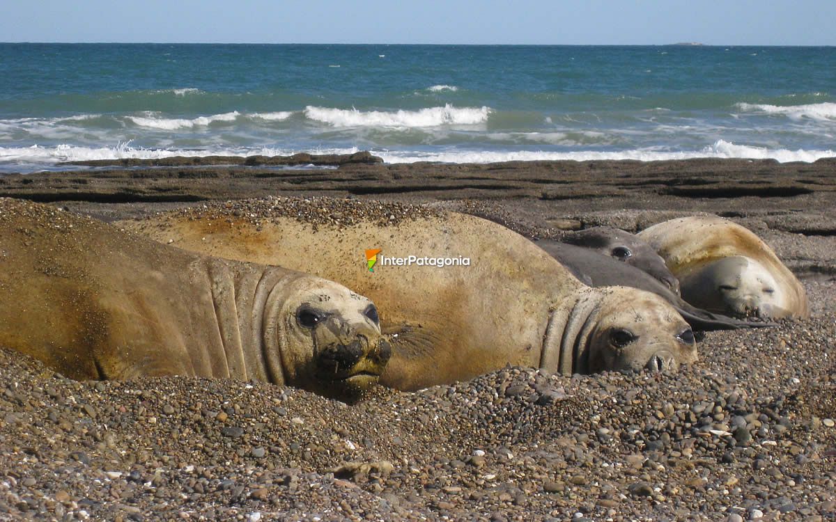 Escondida Island