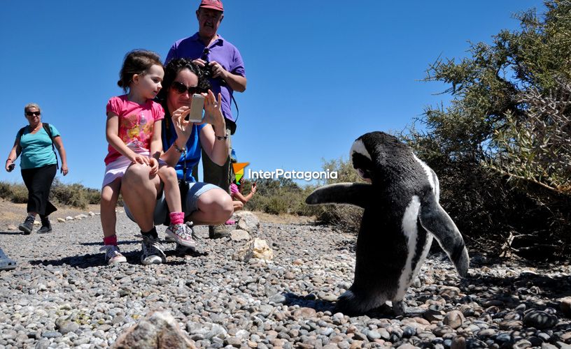 Miles de turistas de todo el mundo