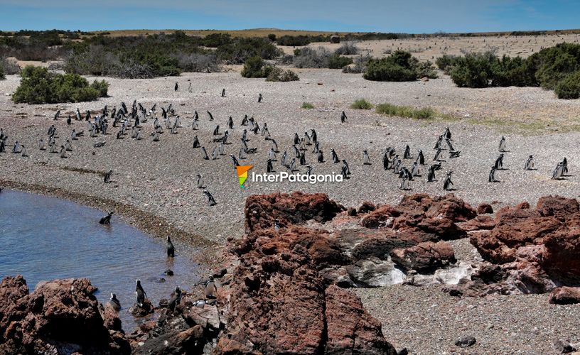 Playas amplias y arenosas