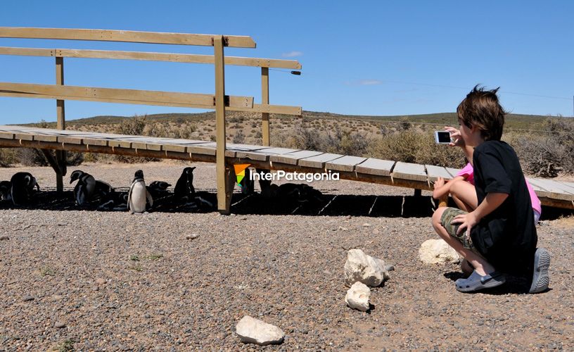 Fascinante espectáculo de la naturaleza