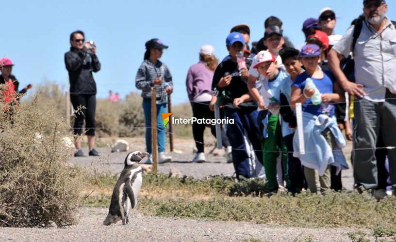 Miles de turistas se dan cita