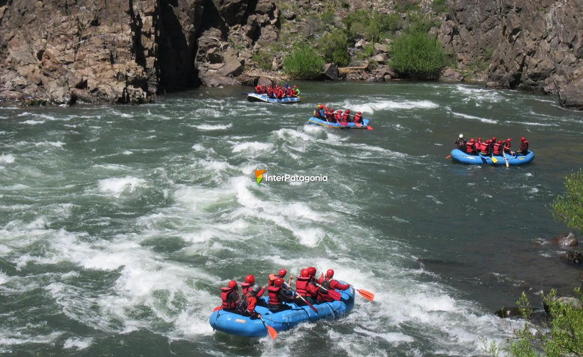 Rafting in the Aluminé river