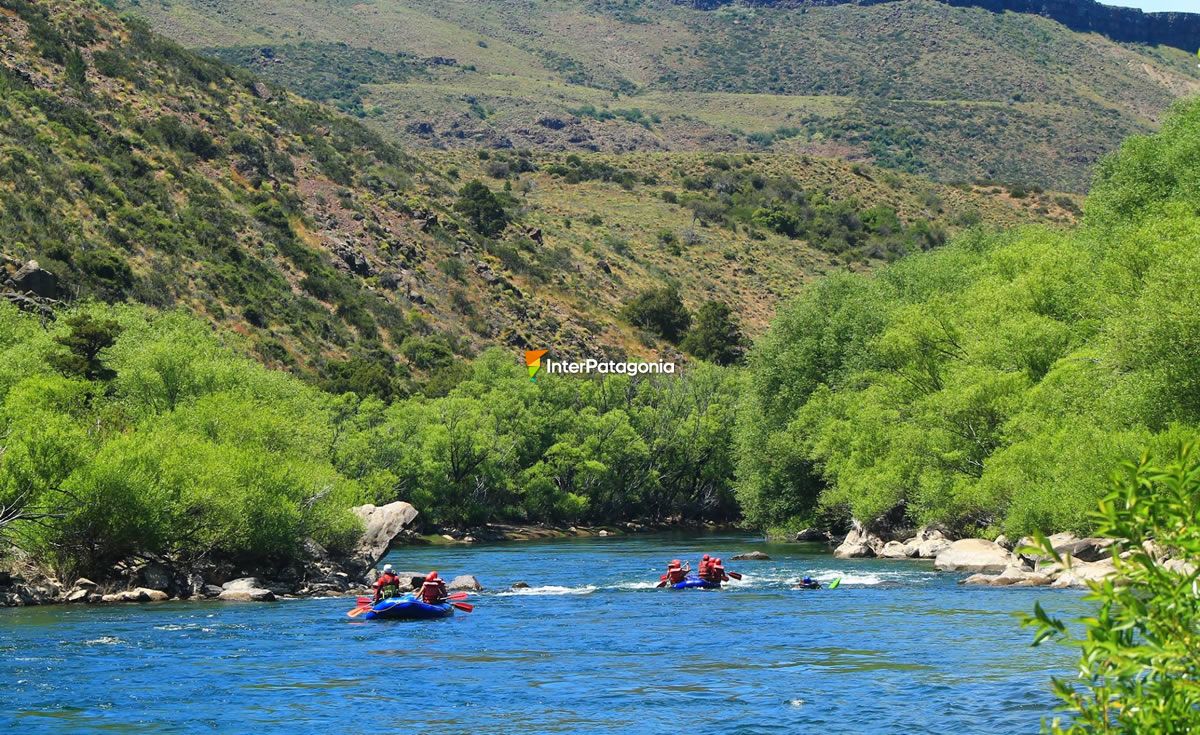Rafting in the Aluminé river