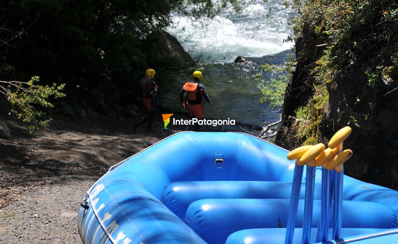 Nace en el lago Quillelhue