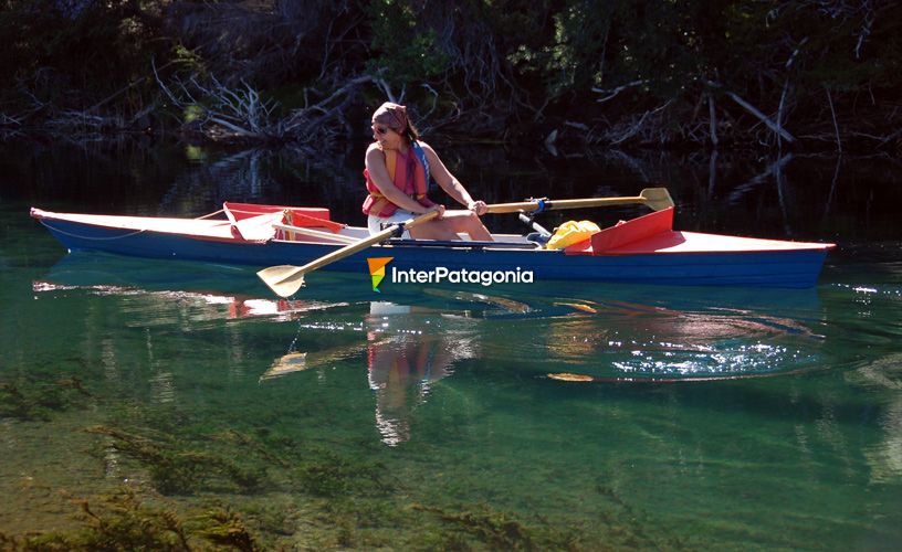 Lovers of rowing