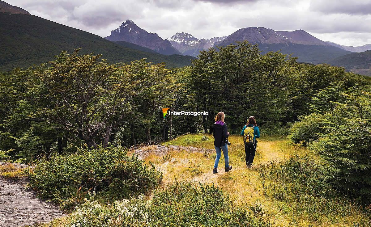 Cerro Alarkén Nature Reserve