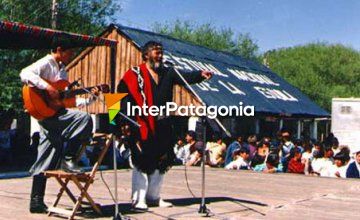 Shearing Has Its National Fair