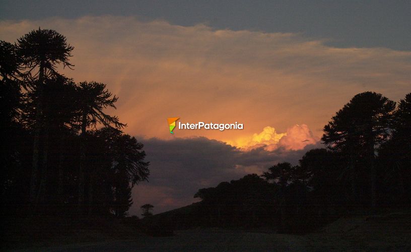 Lanín National Park