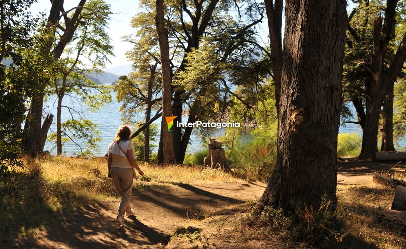 Incrementar el turismo en naturaleza