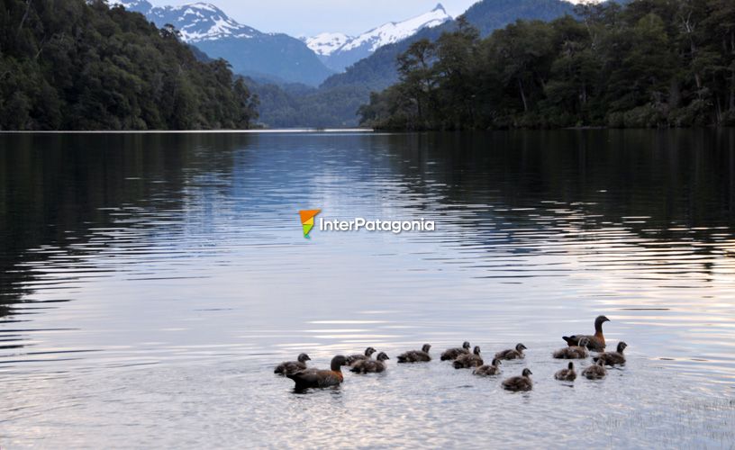 Lago Correntoso