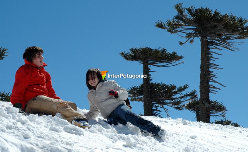 Parque de nieve muy familiar