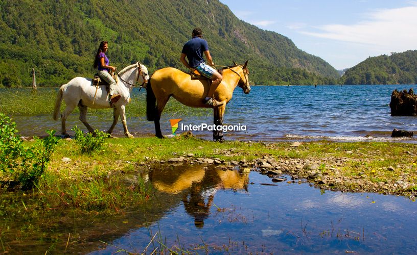 Horseback excursions