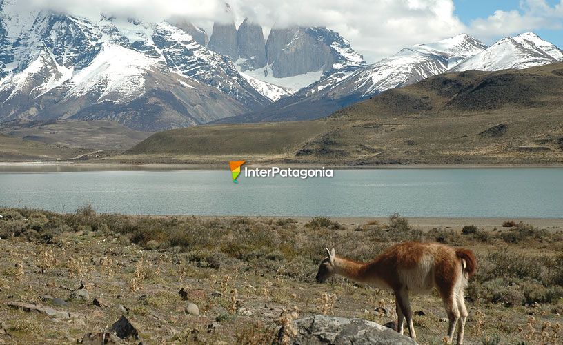 Torres del Paine