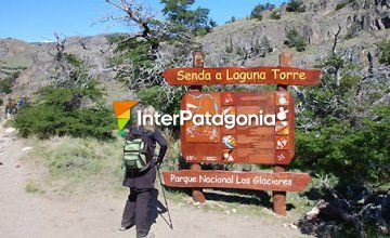 Trekking to Lake Torre