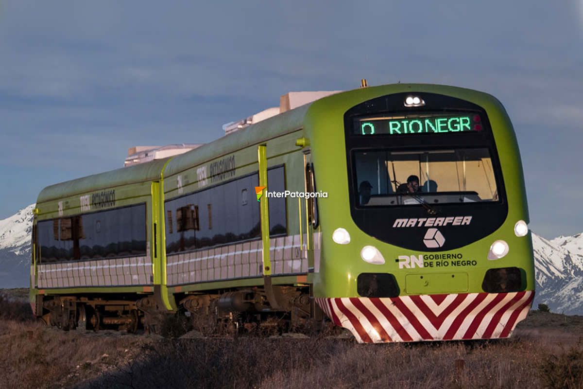 Patagonian Train