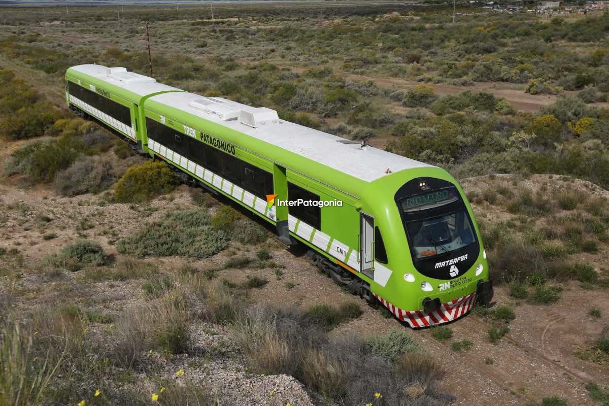 Patagonian Train