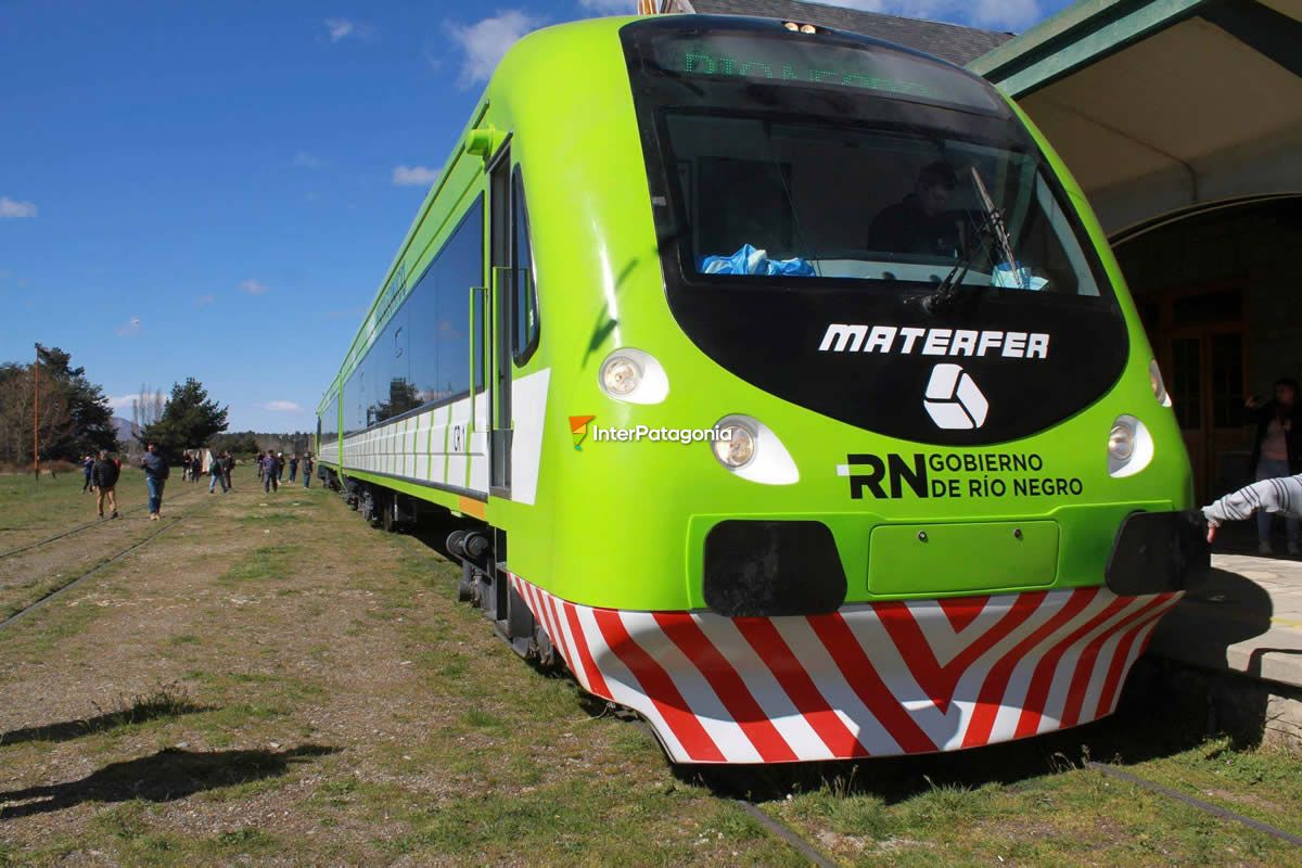 Patagonian Train