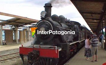 Recollection Train in Valdivia