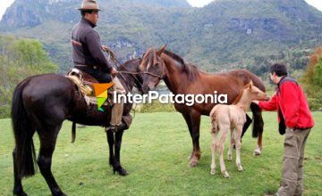 Turismo rural en el fundo Mavidahue