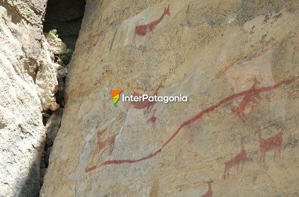 Arte rupestre - Perito Moreno