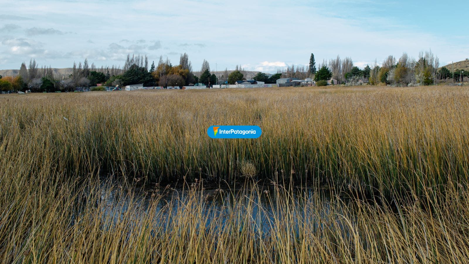 Paisajes - Perito Moreno