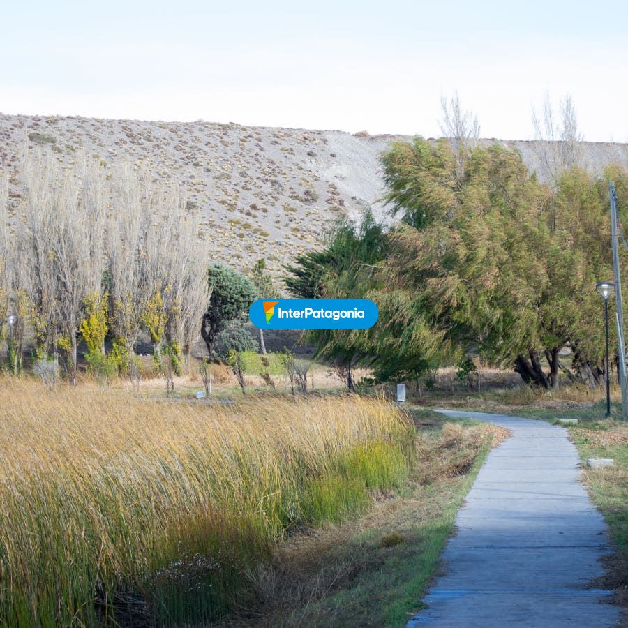 Bicisenda - Perito Moreno